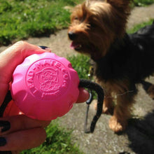 Lead Mate & Leash Bundle - Flat type Lead Mate + Leash