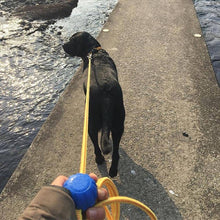 Lead Mate & Leash Bundle - Flat type Lead Mate + Leash