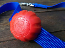 Lead Mate - For Flat, Webbing Style Leads