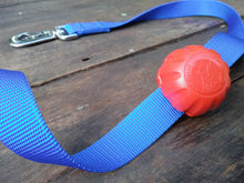 Lead Mate - For Flat, Webbing Style Leads