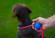 Lead Mate - For Round, Rope Style Leads