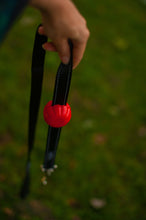 Lead Mate & Leash Bundle - Flat type Lead Mate + Leash