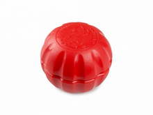 Lead Mate & Leash Bundle - Flat type Lead Mate + Leash