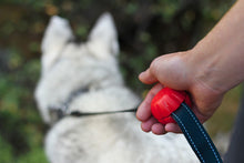 Lead Mate - For Flat, Webbing Style Leads