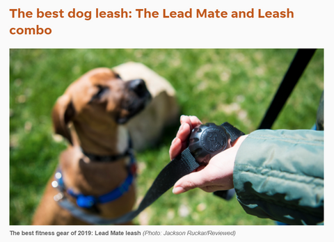 Best dog leash for arthritic hands deals