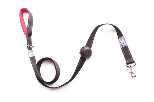 5 pack - Wholesale - Lead Mate & Leash Bundle - Flat type Lead Mate & Leash